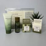 HEIMISH MATCHA MINI KIT