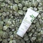 Dabo Green Tea Natural Rich Foam Cleanser 180ml